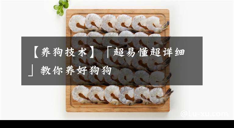 【養(yǎng)狗技術(shù)】「超易懂超詳細」教你養(yǎng)好狗狗