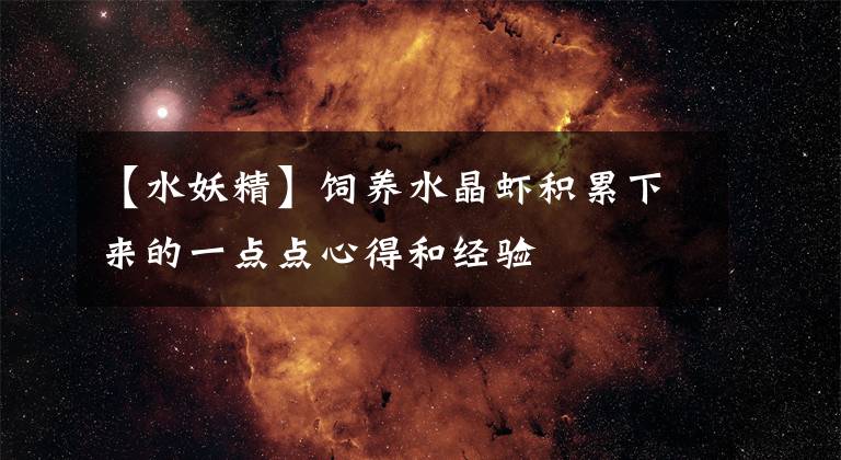 【水妖精】飼養(yǎng)水晶蝦積累下來的一點(diǎn)點(diǎn)心得和經(jīng)驗(yàn)