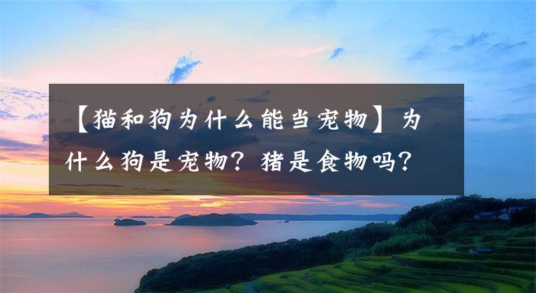 【貓和狗為什么能當(dāng)寵物】為什么狗是寵物？豬是食物嗎？