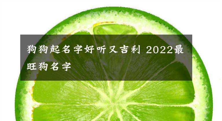 狗狗起名字好聽又吉利 2022最旺狗名字