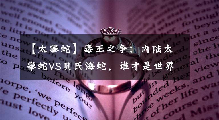 【太攀蛇】毒王之爭(zhēng)：內(nèi)陸太攀蛇VS貝氏海蛇，誰(shuí)才是世界上最毒的蛇？