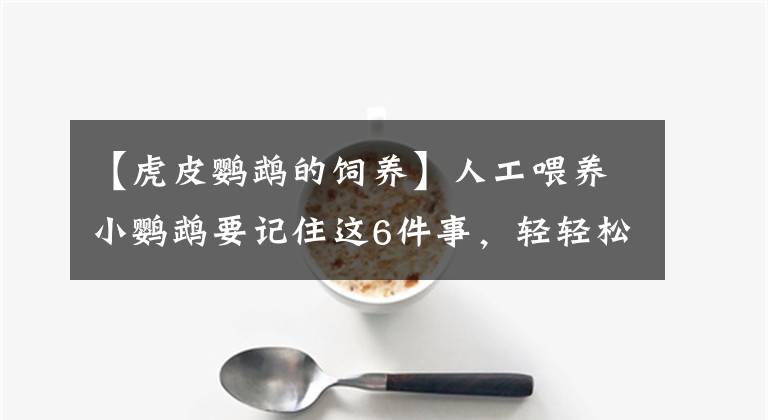 【虎皮鸚鵡的飼養(yǎng)】人工喂養(yǎng)小鸚鵡要記住這6件事，輕輕松松養(yǎng)鸚鵡