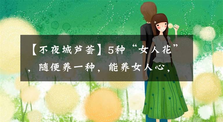 【不夜城蘆薈】5種“女人花”，隨便養(yǎng)一種，能養(yǎng)女人心，摘花泡茶，養(yǎng)顏健康