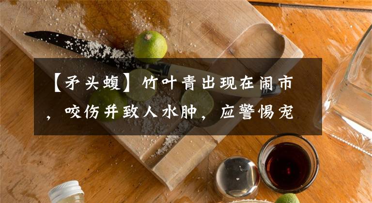 【矛頭蝮】竹葉青出現(xiàn)在鬧市，咬傷并致人水腫，應(yīng)警惕寵物蛇逃跑或遺棄