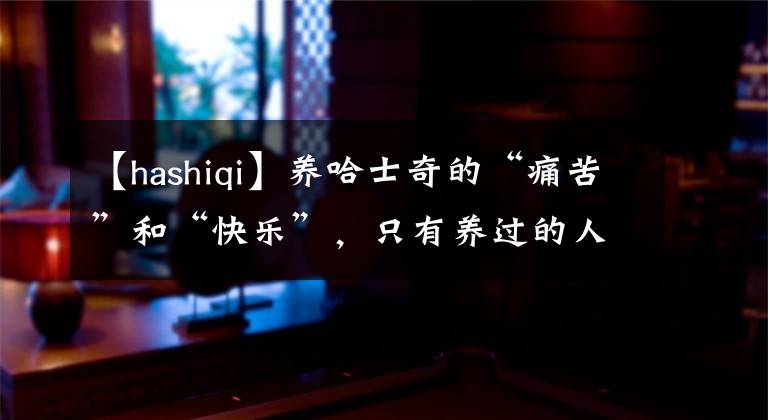 【hashiqi】養(yǎng)哈士奇的“痛苦”和“快樂(lè)”，只有養(yǎng)過(guò)的人懂