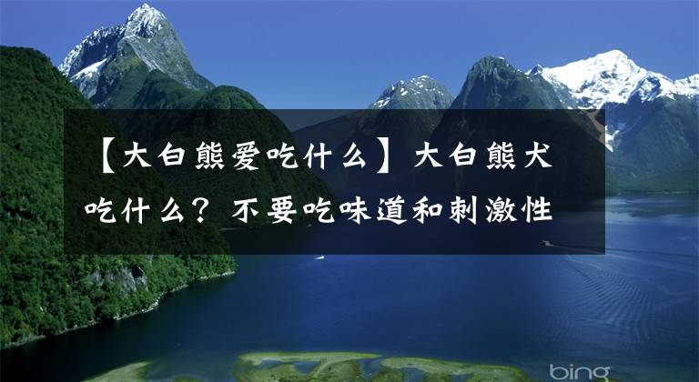 【大白熊愛(ài)吃什么】大白熊犬吃什么？不要吃味道和刺激性的東西。