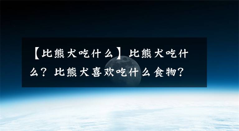 【比熊犬吃什么】比熊犬吃什么？比熊犬喜歡吃什么食物？