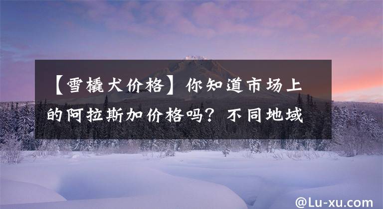 【雪橇犬價(jià)格】你知道市場(chǎng)上的阿拉斯加價(jià)格嗎？不同地域可能存在差價(jià)！