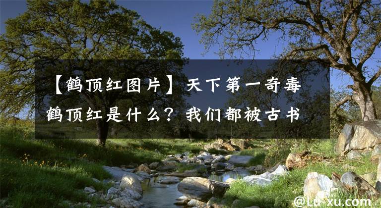 【鶴頂紅圖片】天下第一奇毒鶴頂紅是什么？我們都被古書中的記載給騙了