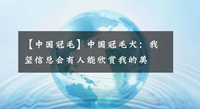 【中國(guó)冠毛】中國(guó)冠毛犬：我堅(jiān)信總會(huì)有人能欣賞我的美