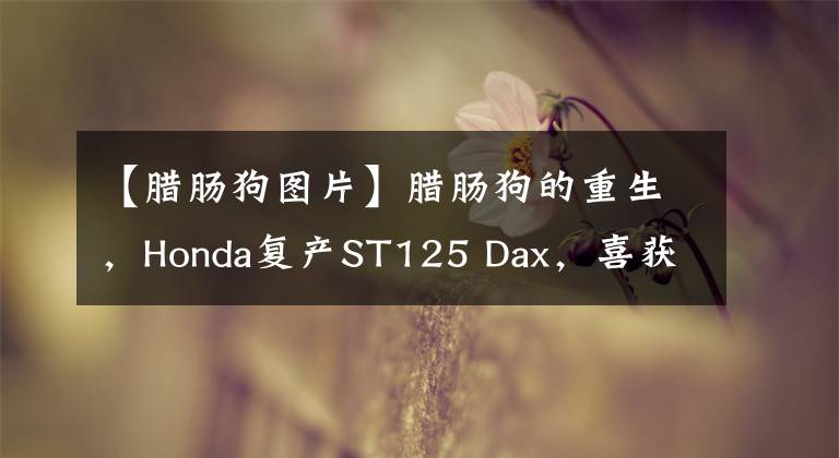 【臘腸狗圖片】臘腸狗的重生，Honda復(fù)產(chǎn)ST125 Dax，喜獲多項(xiàng)升級(jí)