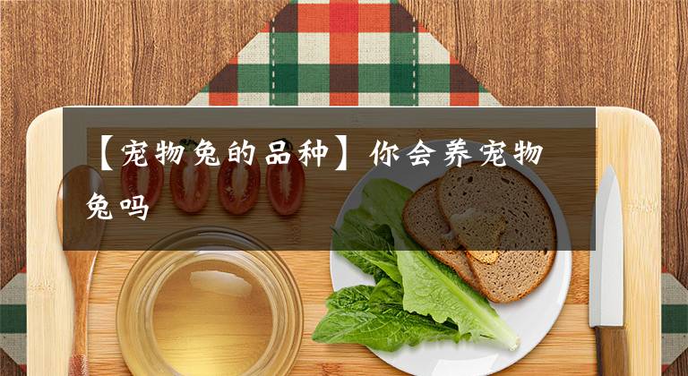 【寵物兔的品種】你會養(yǎng)寵物兔嗎