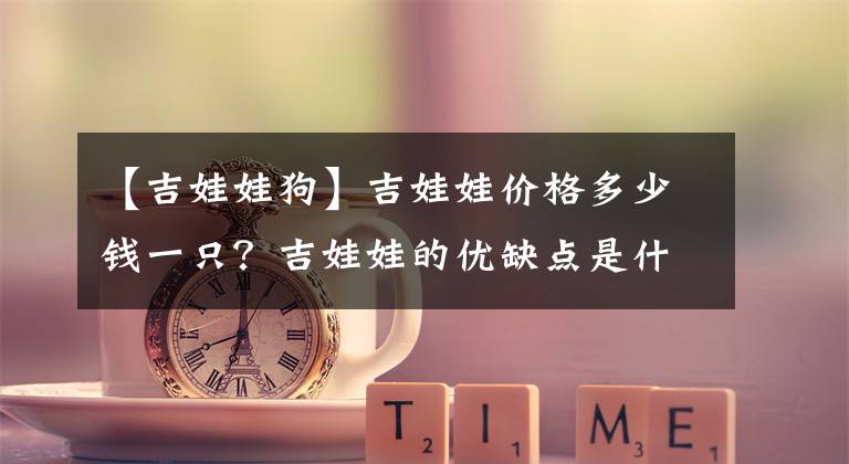 【吉娃娃狗】吉娃娃價格多少錢一只？吉娃娃的優(yōu)缺點是什么？