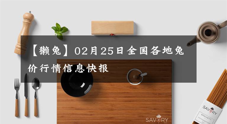 【獺兔】02月25日全國(guó)各地兔價(jià)行情信息快報(bào)