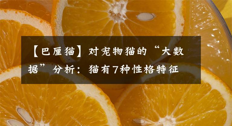 【巴厘貓】對(duì)寵物貓的“大數(shù)據(jù)”分析：貓有7種性格特征