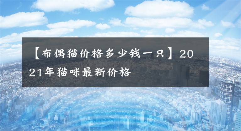 【布偶貓價格多少錢一只】2021年貓咪最新價格