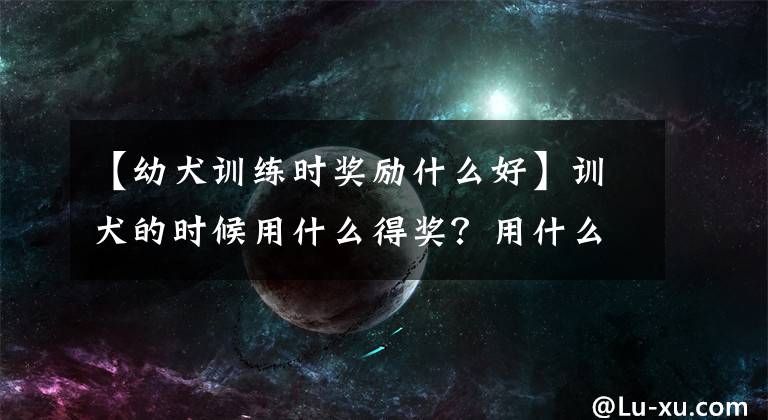 【幼犬訓(xùn)練時(shí)獎(jiǎng)勵(lì)什么好】訓(xùn)犬的時(shí)候用什么得獎(jiǎng)？用什么食物比較好？