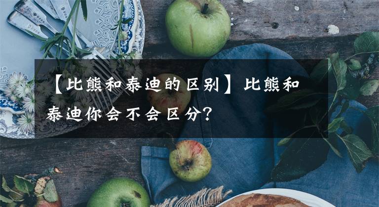 【比熊和泰迪的區(qū)別】比熊和泰迪你會(huì)不會(huì)區(qū)分？