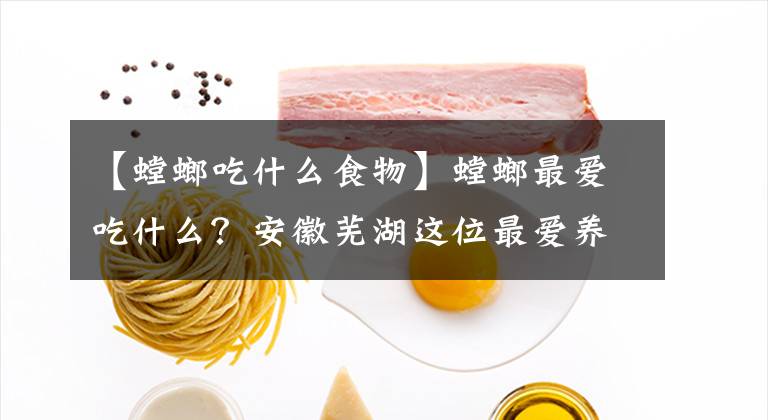 【螳螂吃什么食物】螳螂最愛吃什么？安徽蕪湖這位最愛養(yǎng)寵物的美女告訴你