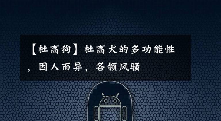 【杜高狗】杜高犬的多功能性，因人而異，各領(lǐng)風(fēng)騷