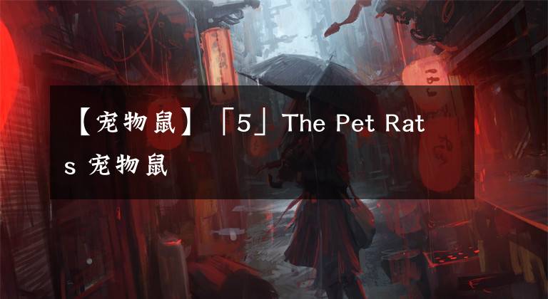 【寵物鼠】「5」The Pet Rats 寵物鼠