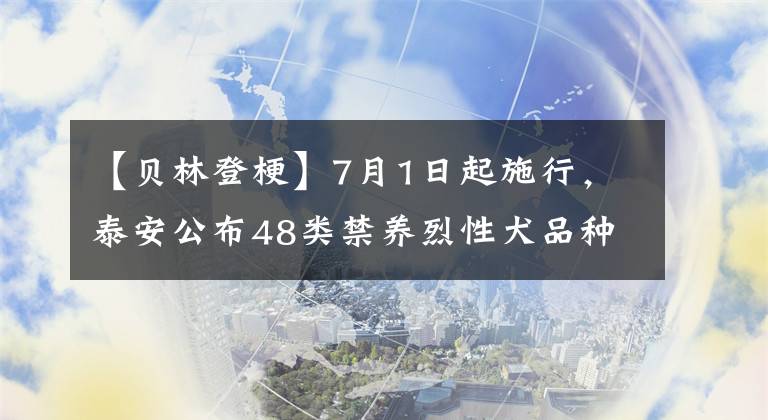 【貝林登?！?月1日起施行，泰安公布48類禁養(yǎng)烈性犬品種名錄