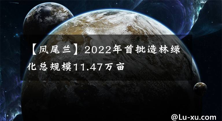 【鳳尾蘭】2022年首批造林綠化總規(guī)模11.47萬(wàn)畝