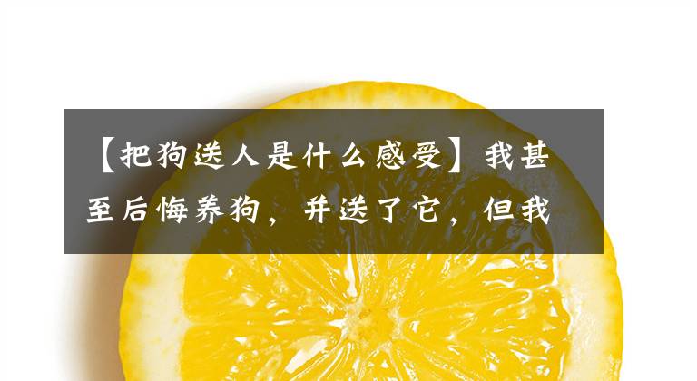 【把狗送人是什么感受】我甚至后悔養(yǎng)狗，并送了它，但我舍不得！