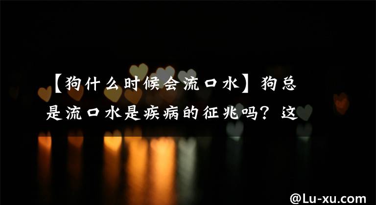 【狗什么時候會流口水】狗總是流口水是疾病的征兆嗎？這七個理由，你知道多少？