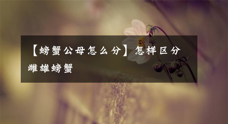 【螃蟹公母怎么分】怎樣區(qū)分雌雄螃蟹