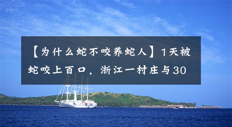 【為什么蛇不咬養(yǎng)蛇人】1天被蛇咬上百口，浙江一村莊與300萬條蛇生存40年，靠蛇來賺錢