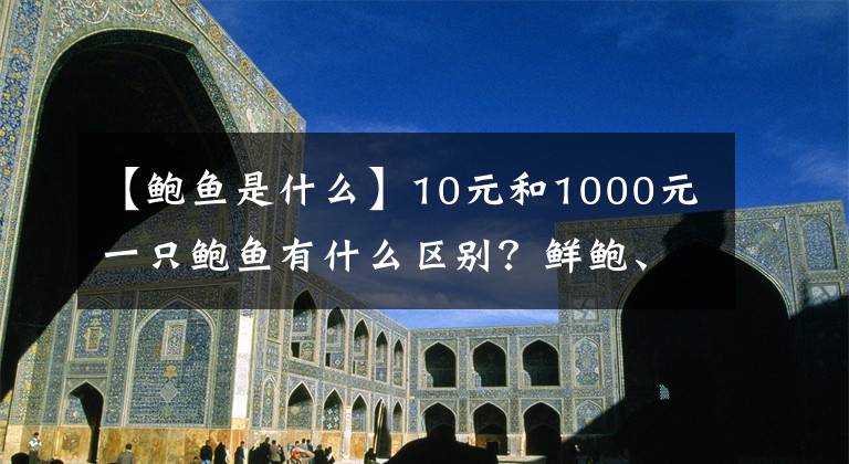 【鮑魚是什么】10元和1000元一只鮑魚有什么區(qū)別？鮮鮑、干鮑、罐頭鮑科普大全