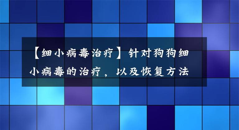 【細(xì)小病毒治療】針對(duì)狗狗細(xì)小病毒的治療，以及恢復(fù)方法詳解