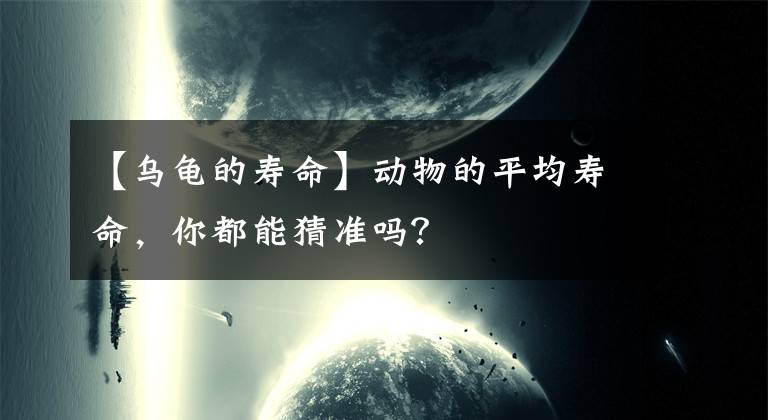 【烏龜?shù)膲勖縿游锏钠骄鶋勖愣寄懿聹?zhǔn)嗎？