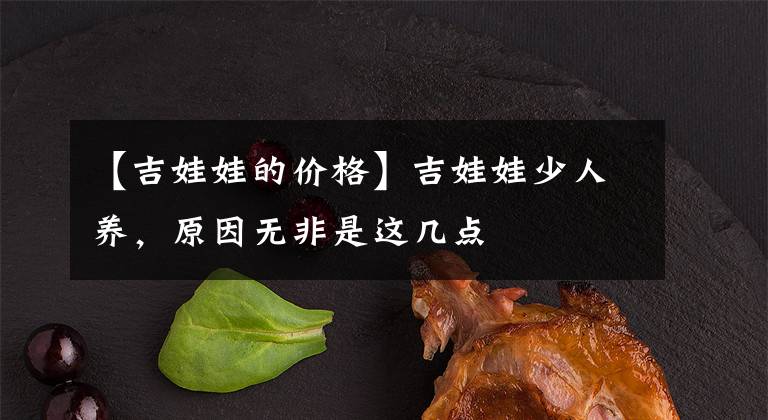 【吉娃娃的價格】吉娃娃少人養(yǎng)，原因無非是這幾點