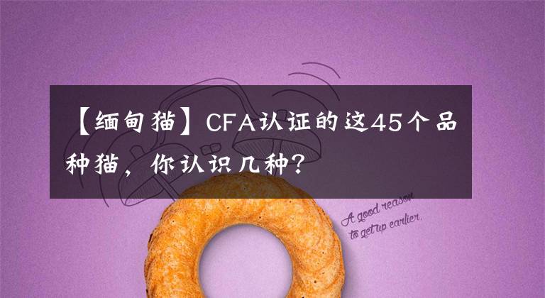 【緬甸貓】CFA認(rèn)證的這45個(gè)品種貓，你認(rèn)識(shí)幾種？