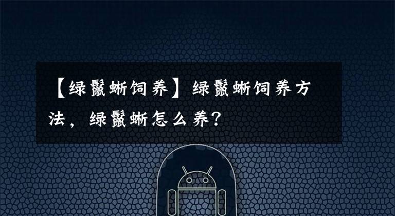 【綠鬣蜥飼養(yǎng)】綠鬣蜥飼養(yǎng)方法，綠鬣蜥怎么養(yǎng)？