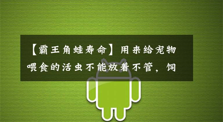 【霸王角蛙壽命】用來給寵物喂食的活蟲不能放著不管，飼料優(yōu)質(zhì)程度影響著寵物健康