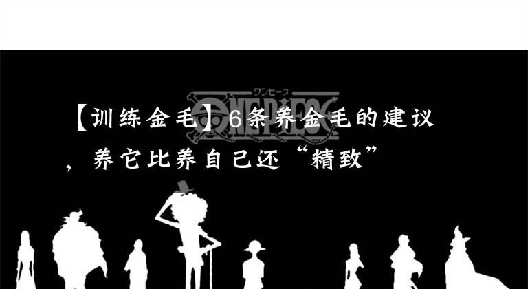 【訓練金毛】6條養(yǎng)金毛的建議，養(yǎng)它比養(yǎng)自己還“精致”