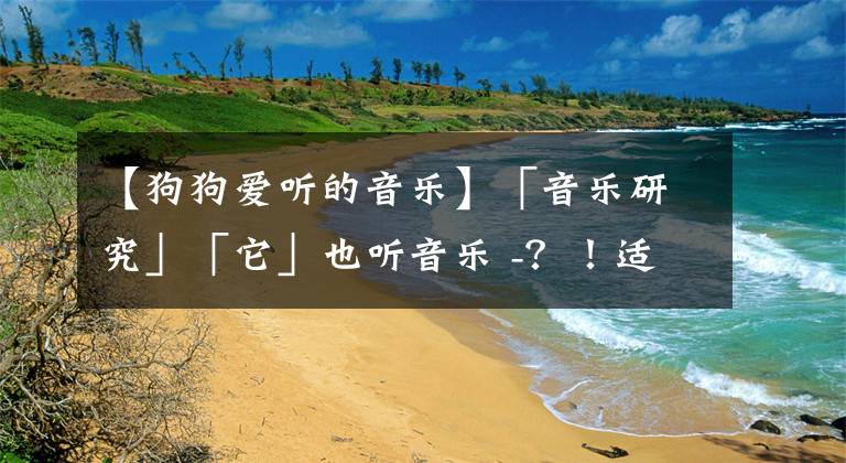 【狗狗愛聽的音樂】「音樂研究」「它」也聽音樂 -？！適合寵物的古典音樂