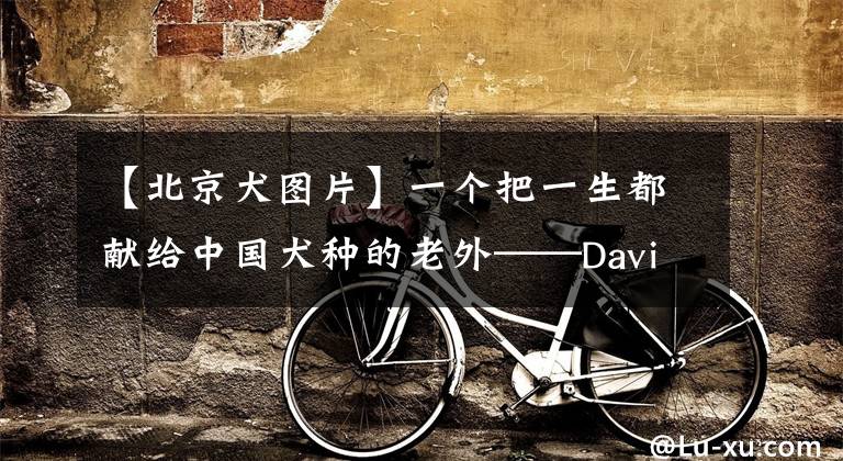 【北京犬圖片】一個把一生都獻(xiàn)給中國犬種的老外——David Fitzpatrick北京犬