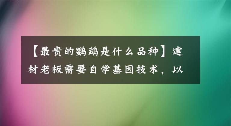 【最貴的鸚鵡是什么品種】建材老板需要自學(xué)基因技術(shù)，以3000韓元出售一只耳鸚鵡。