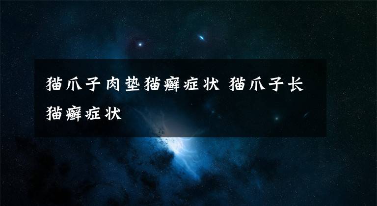 貓爪子肉墊貓癬癥狀 貓爪子長貓癬癥狀