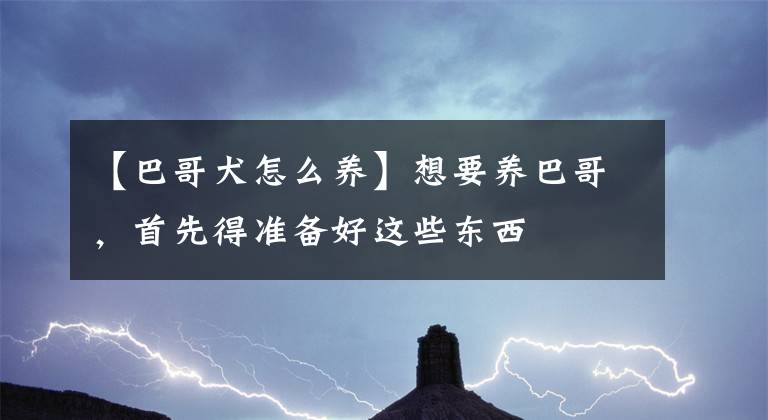 【巴哥犬怎么養(yǎng)】想要養(yǎng)巴哥，首先得準(zhǔn)備好這些東西