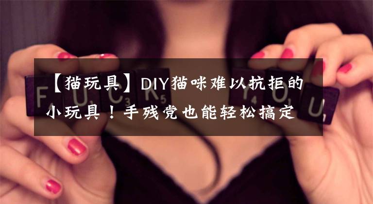 【貓玩具】DIY貓咪難以抗拒的小玩具！手殘黨也能輕松搞定