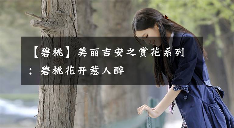 【碧桃】美麗吉安之賞花系列：碧桃花開惹人醉