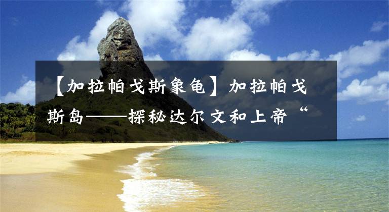 【加拉帕戈斯象龜】加拉帕戈斯島——探秘達(dá)爾文和上帝“分手”的地方，都有些什么？