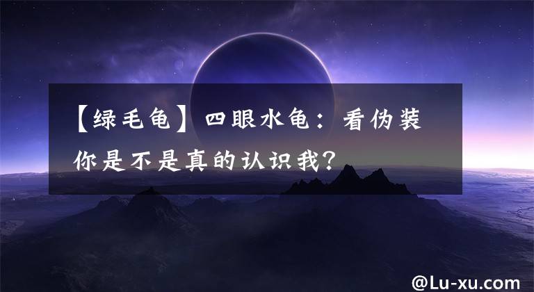 【綠毛龜】四眼水龜：看偽裝 你是不是真的認(rèn)識(shí)我？