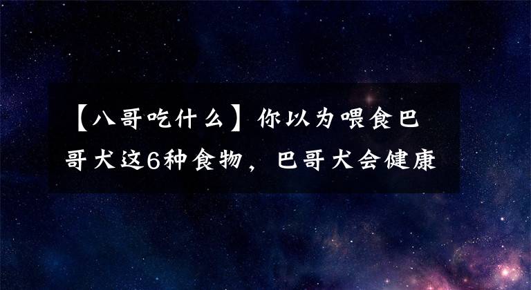 【八哥吃什么】你以為喂食巴哥犬這6種食物，巴哥犬會(huì)健康，但其實(shí)在給它折壽！