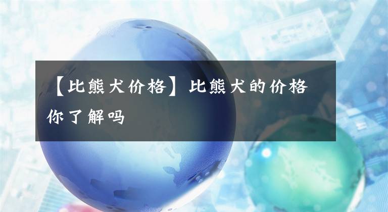 【比熊犬價(jià)格】比熊犬的價(jià)格你了解嗎